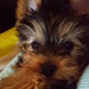 Meet your Posher, Vanessa